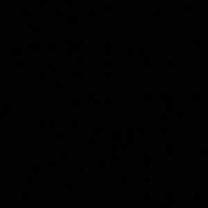 Meet your Posher, Teri